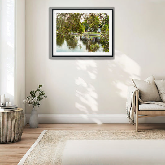 Riverside Tree and Reflections photo print