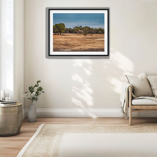 Desert Camels and Eucalypt Trees photo print