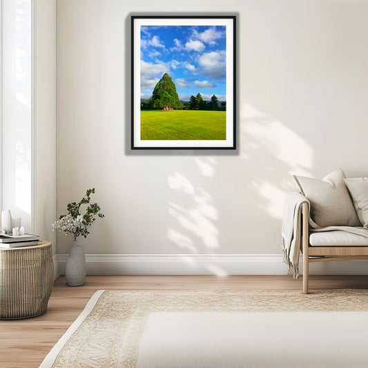 Park Tree Beneath Blue Sky photo print