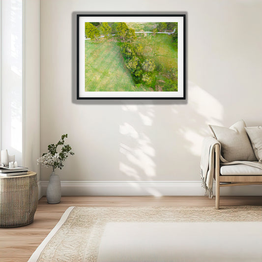 Tree Line Through Park Lawn photo print