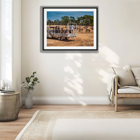 Guided Safari Tour with Camels photo print