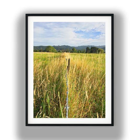 Farm Field Fence Toward Hills photo print