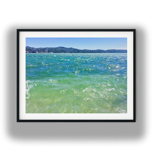 Wellington Harbour Choppy Green Water photo print