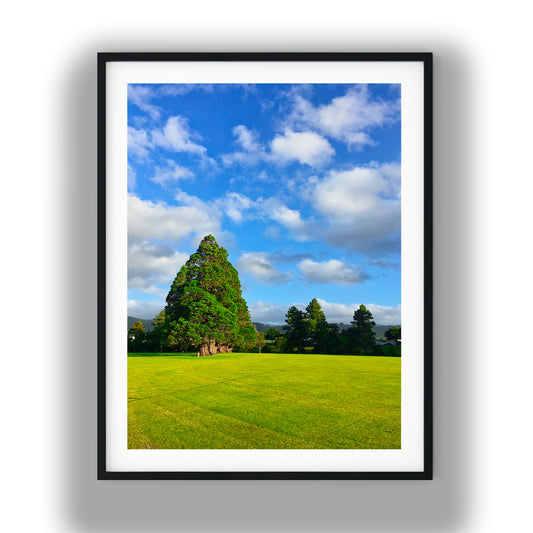 Park Tree Beneath Blue Sky photo print