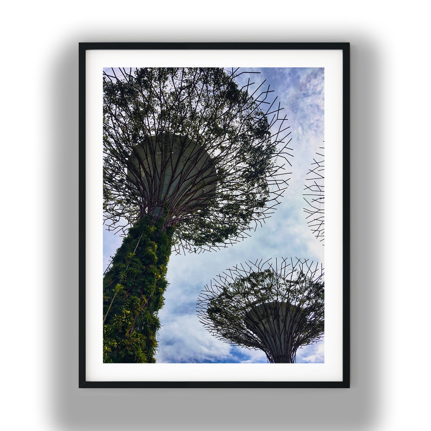 Supertrees at Gardens by the Bay photo print