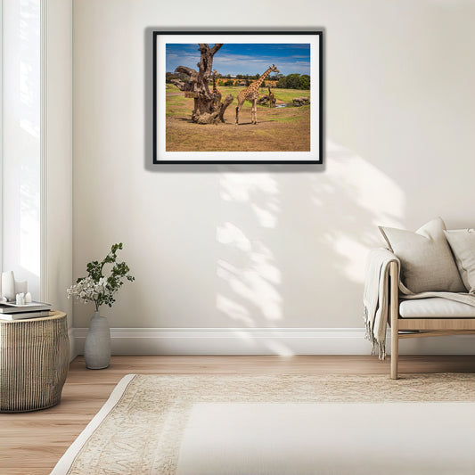 Giraffes and Rhinos at Watering Hole photo print