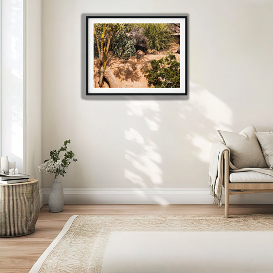 Meerkats Resting in Natural Habitat Photo Print
