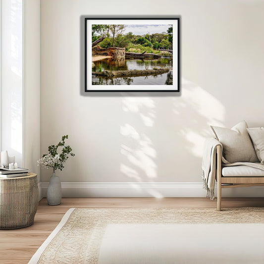 River Water With Fallen Logs photo print